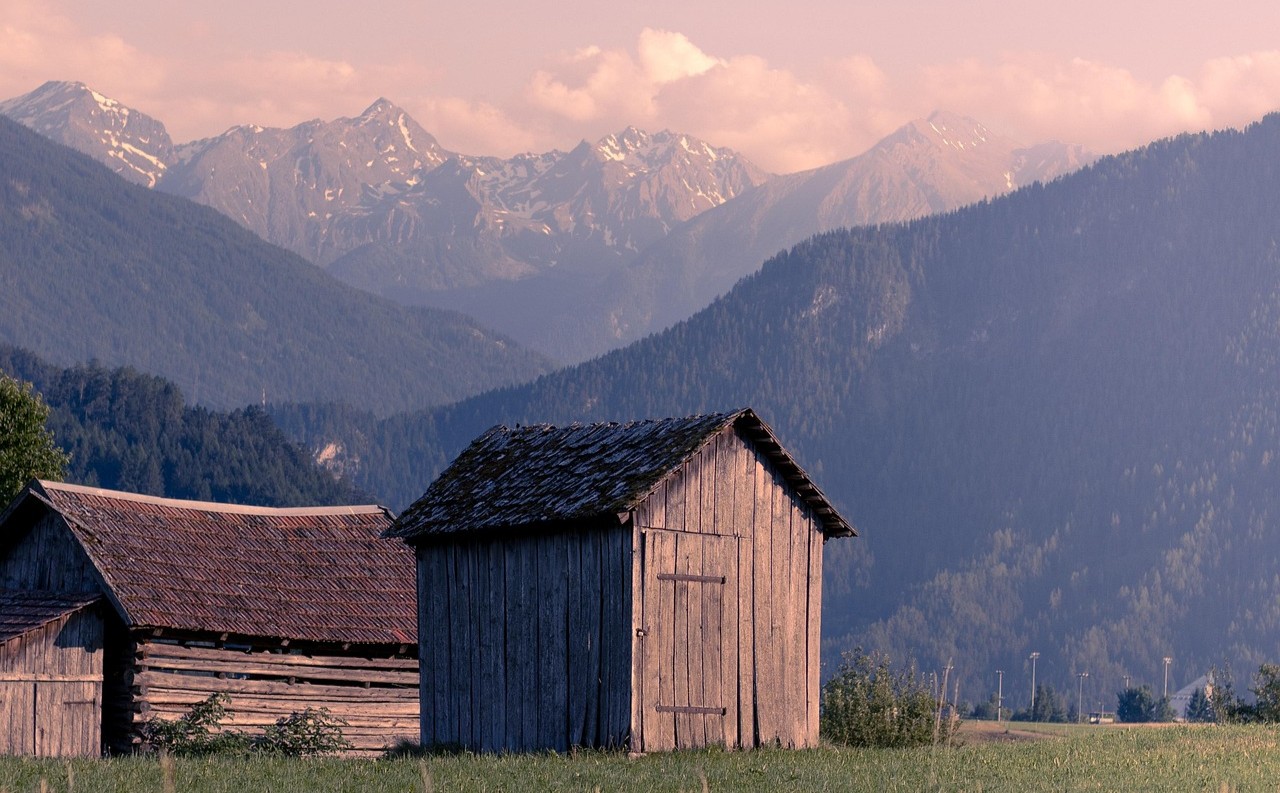 Sogno o bi-sogno?